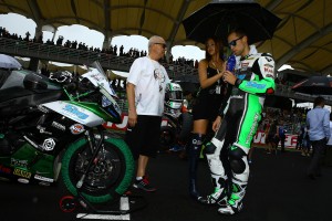 Sepang ned box grid 094